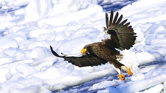網走でアイヌ民族やオホーツク文化を学ぶなら北方民族博物館!音声ガイド付きがイチオシ
