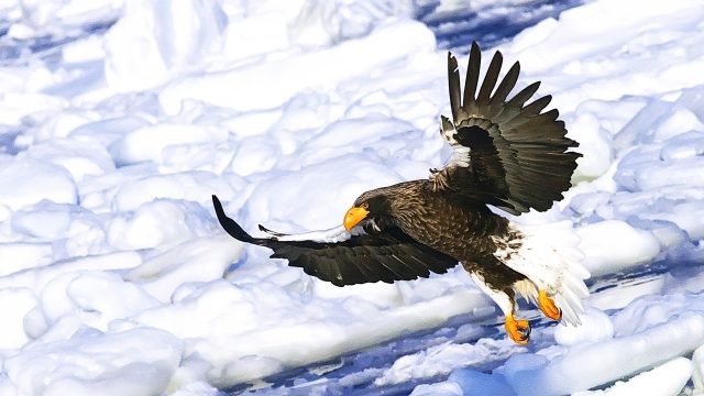 網走でアイヌ民族やオホーツク文化を学ぶなら北方民族博物館！音声ガイド付きがイチオシ