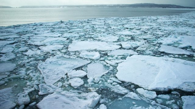 流氷を体感できる網走・オホーツク流氷館！無料？有料？見どころとオススメ周辺スポットまとめ