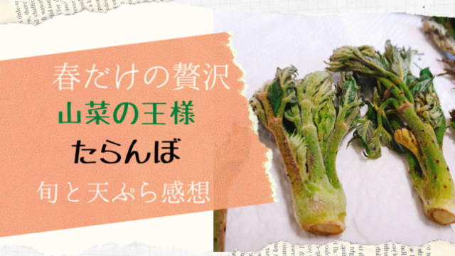 春の山菜 たらんぼ たらの芽 は天ぷらが美味しい 食べて分かった味や食感の感想 えぞめぐり