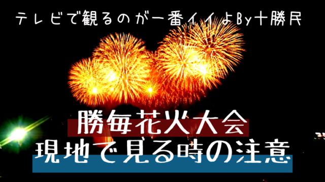 十勝民が実体験から語る 勝毎花火大会を有料席以外で見る時の注意点 テレビで観るのが一番という話 えぞめぐり
