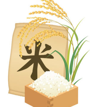 北海道でお米はいつから作られた？美味しい北海道米になるまでの歴史を簡単まとめ