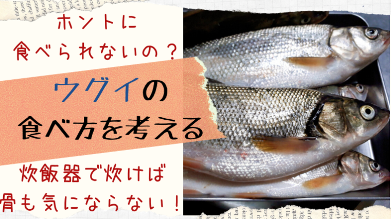 ウグイは食べられないって本当 食べ方を探して炊飯器を活用 簡単に美味しく食べられた えぞめぐり