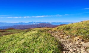 【ゴールデンカムイファンにも楽しい】北海道博物館の見どころ・所要時間を歴史好きが考える