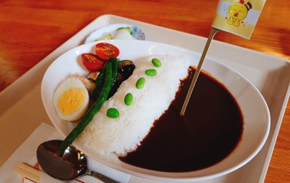 人生初のダムカレーを中札内・日高山脈山岳センターで食べてきた！感想まとめ