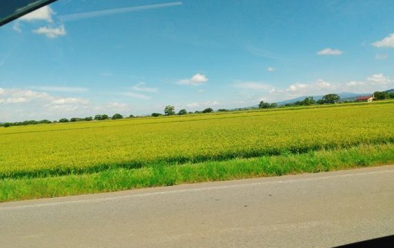 【上川・空知歴史旅記録】北海道監獄の歴史を学ぶ月形樺戸博物館・夕張石炭博物館【炭鉄港カードって何？】