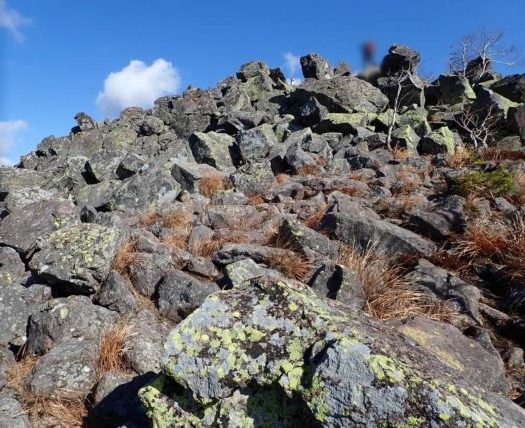 十勝・鹿追の然別湖でナキウサギを見られると聞いたので白雲山・天望山を縦走してみた