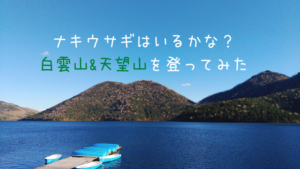 然別湖の白雲山・天望山へナキウサギを見る為に登山してきた