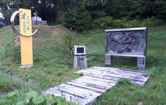 北海道の中華まんじゅうってどんなもの？忠類道の駅の『ナウマン饅頭』も美味しいよ！