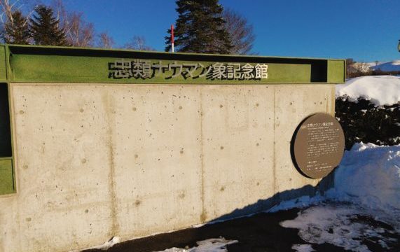 北海道の中華まんじゅうってどんなもの？忠類道の駅の『ナウマン饅頭』も美味しいよ！