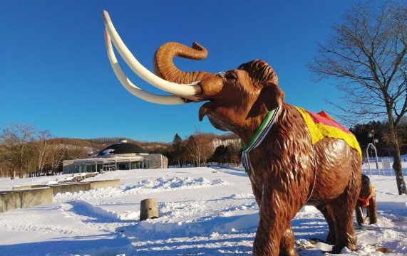 北海道の中華まんじゅうってどんなもの？忠類道の駅の『ナウマン饅頭』も美味しいよ！