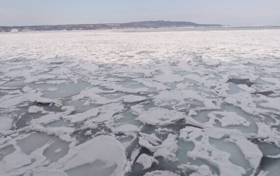 冬の網走で観光砕氷船おーろらに乗って流氷を見た感想まとめ!オジロワシも見られたり流氷なおやつを満喫した話