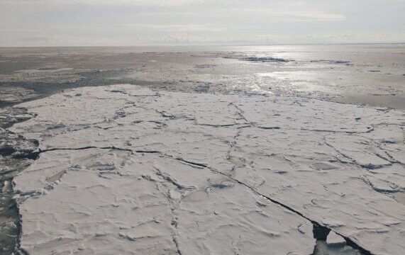 冬の網走で観光砕氷船おーろらに乗って流氷を見た感想まとめ!オジロワシも見られたり流氷なおやつを満喫した話