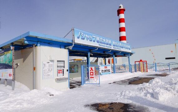 冬の稚内・ノシャップ岬に行って来た！寒流水族館・オシャレ可愛い稚内の道の駅やガイドブックが素敵だった感想まとめ
