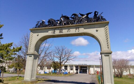 日高が軽種馬の産地になったのは何故？北海道・日高と馬の歴史を知るために博物館へ行ってみた感想と調べた事まとめ