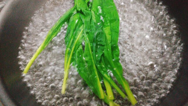 行者ニンニク(アイヌネギ)を天ぷら・醤油漬け以外で!焼きそば・炒飯・しゃぶしゃぶも美味!