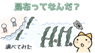 昆布ってどんなもの?北海道の海で育つ昆布の生態・漁・種類まとめ