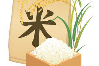北海道でお米はいつから作られた?美味しい北海道米になるまでの歴史を簡単まとめ